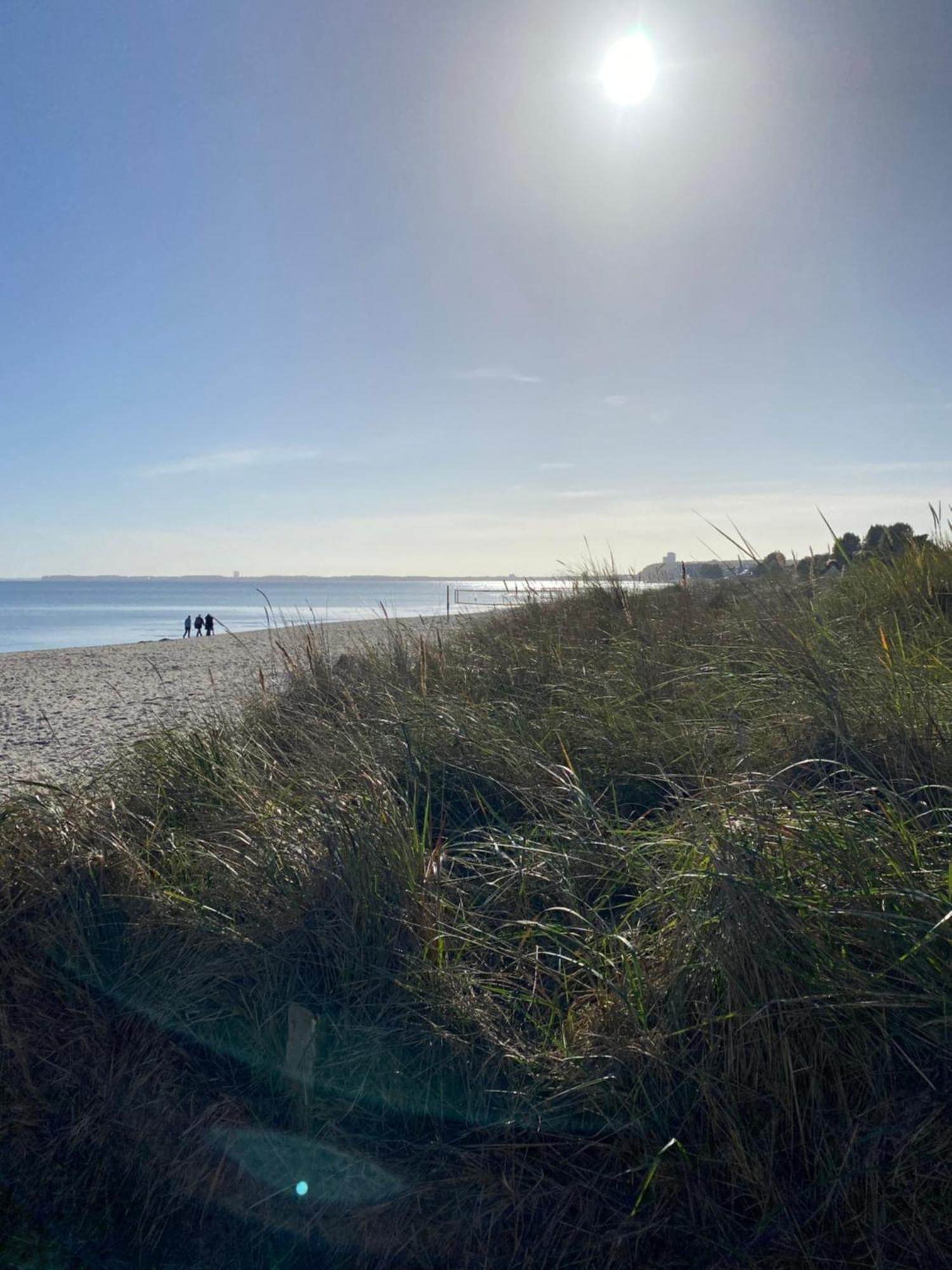 Beach House Chalet Seeparx Suesel Susel Eksteriør billede