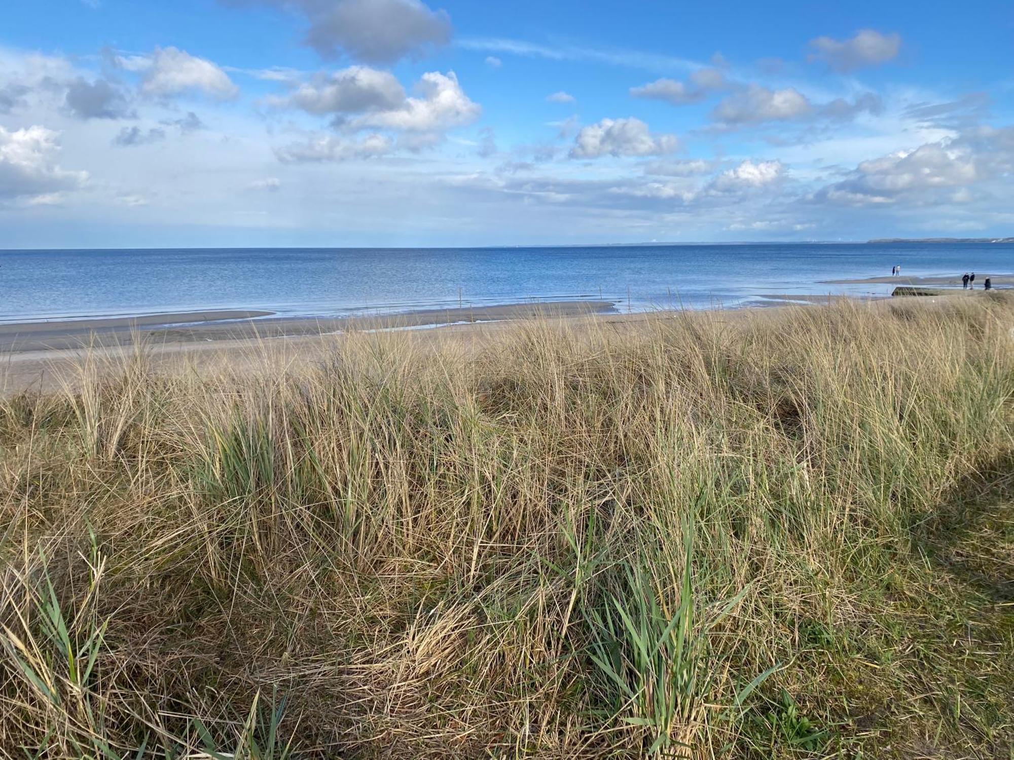 Beach House Chalet Seeparx Suesel Susel Eksteriør billede